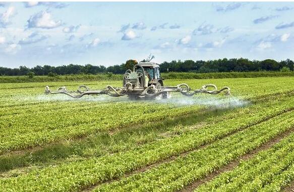 <a href=http://wd888.cn/mcy/ target=_blank class=infotextkey>木醋液</a>