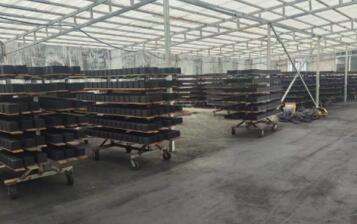 保定防水型<a href=http://wd888.cn/fwzhxt/ target=_blank class=infotextkey>蜂窩活性炭</a>廠家報(bào)價(jià)