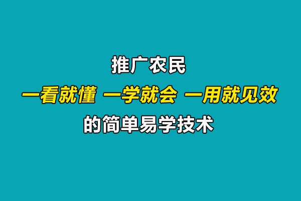 引導(dǎo)農(nóng)民合理施肥用藥,推廣一看就懂、一學(xué)就會(huì)、一用就見(jiàn)效的技術(shù)